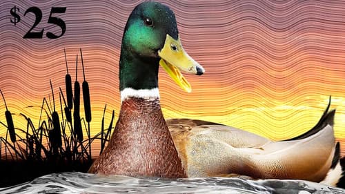 The Million Dollar Duck Bild 1