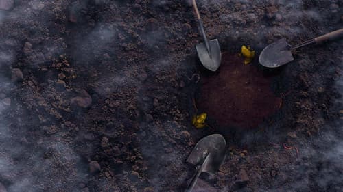 Blind Frog Ranch Bild 8