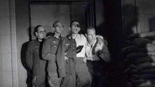 The July Plot Bild 1