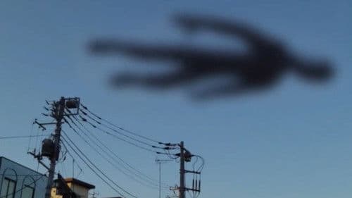 Simokita 2014 Bild 1