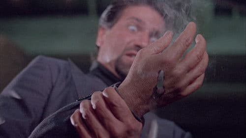 American Rikscha Bild 2