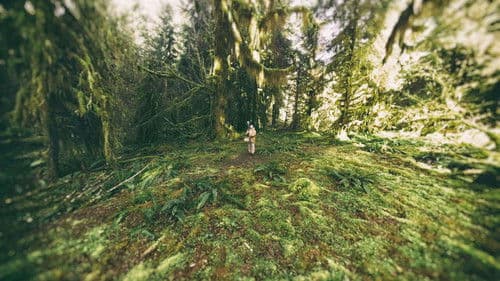 Sanctuaries of Silence Bild 1