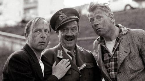 Nydelige nelliker Bild 2