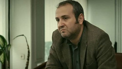 Sebepler ve Yollar Bild 1