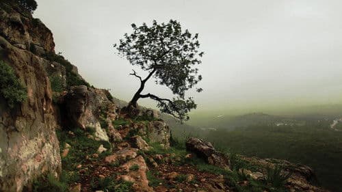 Is Mindfulness Right for You? Bild 1