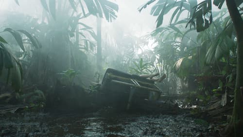 Transamazonia Bild 2