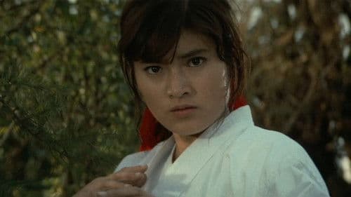 女必殺拳　危機一発 Bild 7