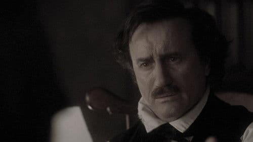 The Black Cat Bild 1