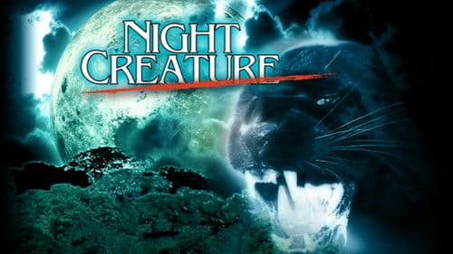 Night Creature Bild 1