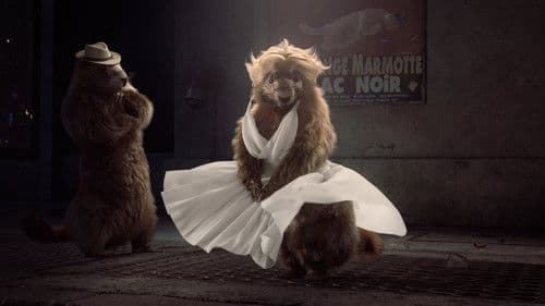 Les Marmottes Bild 3