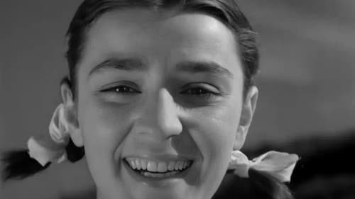 ჩქარი მატარებელი Bild 1