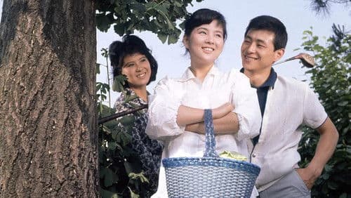 風と樹と空と Bild 1