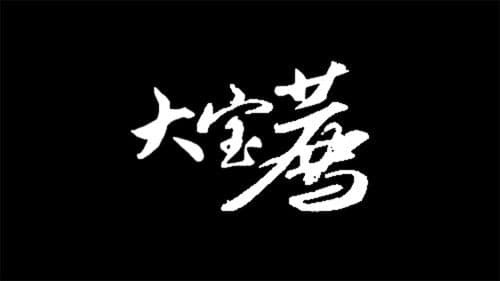 大宝荐系列 Bild 2