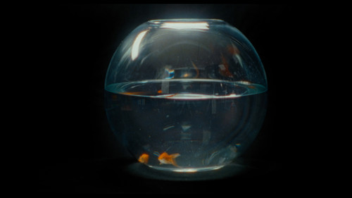 Zodiac Killer Project Bild 4