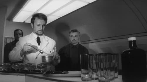 Хроника ночи Bild 2