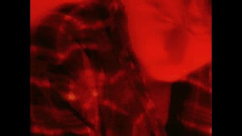 The Yellow Days Bild 4