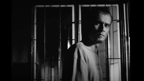 Cam multă spumă Bild 1