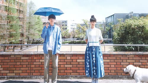 今日の空が一番好き、とまだ言えない僕は Bild 5