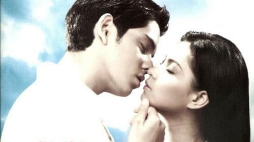 Let the Love Begin Bild 1