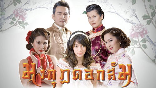 มงกุฎดอกส้ม Bild 3