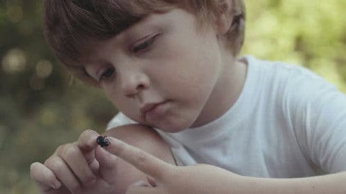 Последнее лето Bild 2