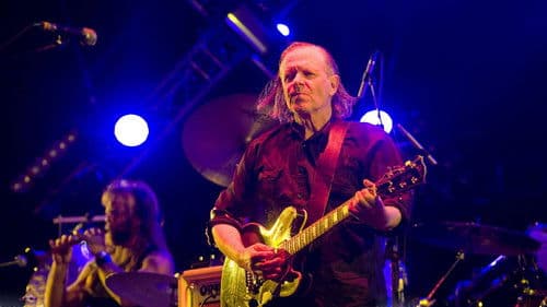 Swans: To Be Kind - Live 2013 Bild 1