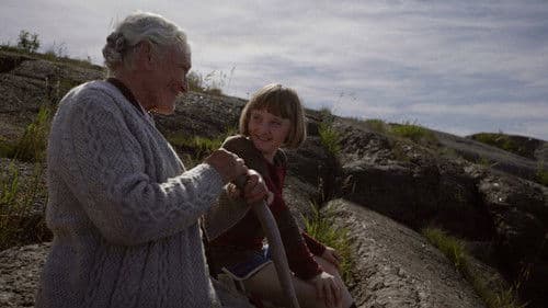 Das Sommerbuch Bild 3