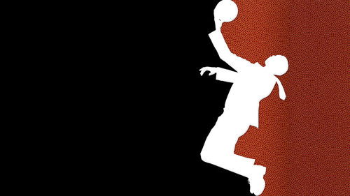 High Flying Bird Bild 4