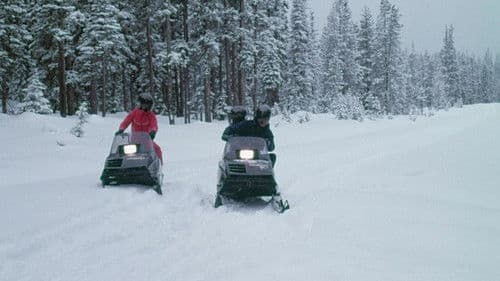 Windigo – Die Nacht des Grauens Bild 4