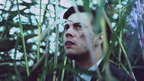 Agent Sinikael Bild 1