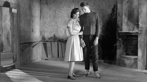 Wie in einem Spiegel Bild 5