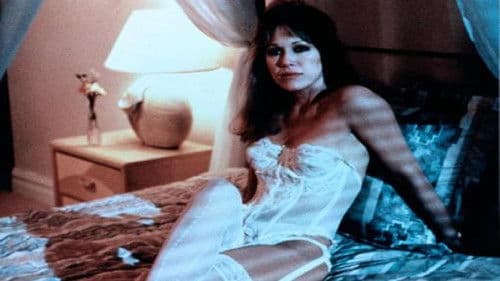 Augen der Nacht Bild 4