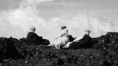 El cant dels ocells Bild 6