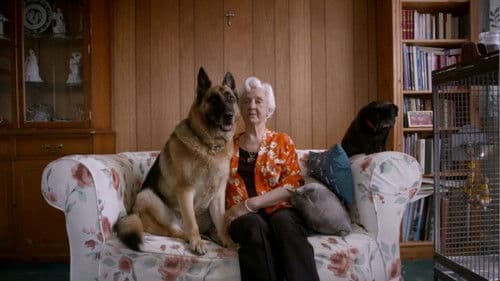 The Age of Loneliness Bild 1