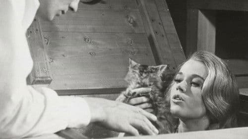 Wie Raubkatzen Bild 4