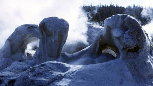 Face of the Earth Bild 1