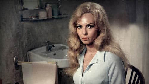 Heiße Nächte Bild 1