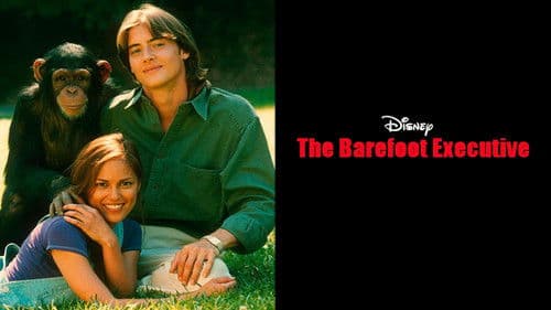 The Barefoot Executive Bild 6