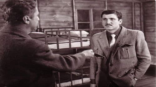 Uzavreli grad Bild 1