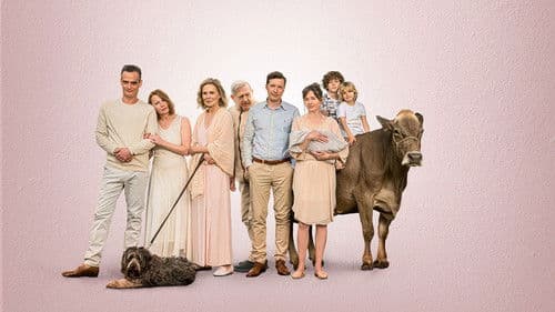 Wanda, mein Wunder Bild 5