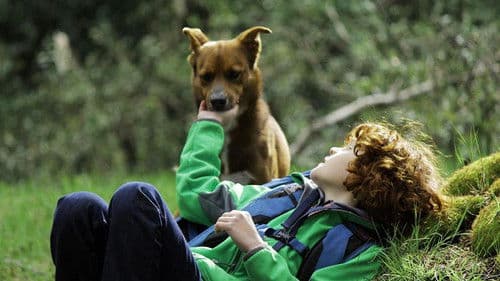 Beyond the Sun Bild 3