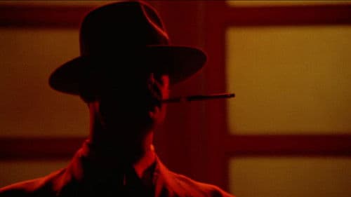 Sieben Schönheiten Bild 2