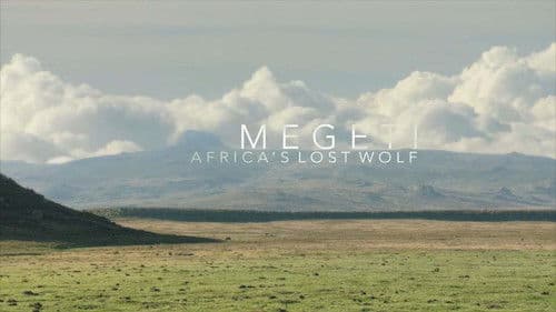 Megeti - Africa's Lost Wolf Bild 1
