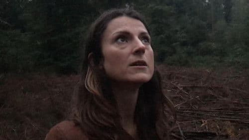 Das Böse im Wald Bild 1