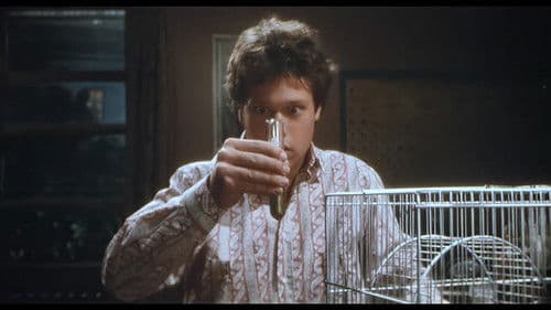 Der unsichtbare Junge Bild 2