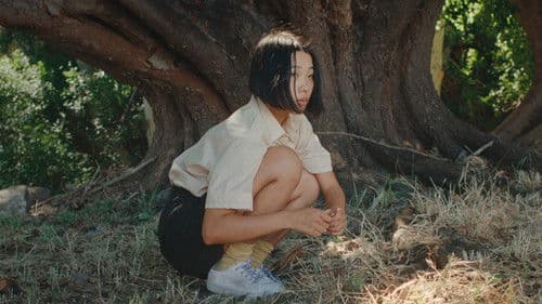 To Fly a Kite Bild 1