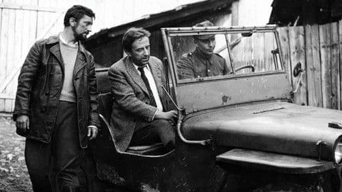 Słońce wschodzi raz na dzień Bild 8