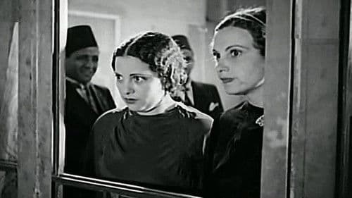 العز بهدلة Bild 4