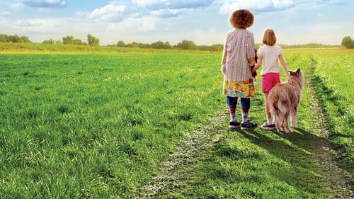 Winn-Dixie - Mein zotteliger Freund Bild 4