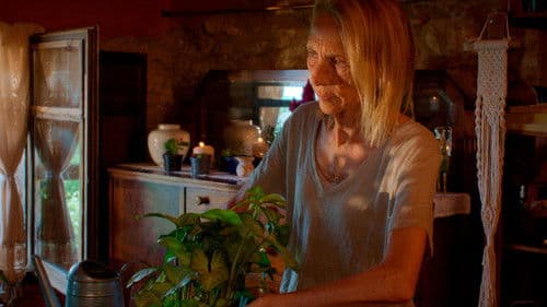 Vinguin les feres Bild 3